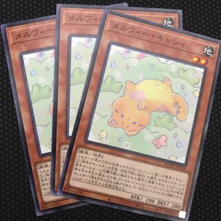 メルフィー・キャシィ