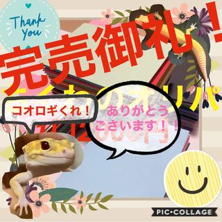 完売御礼！ありがとうございました！ 1枚