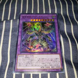 捕食植物トリフィオヴェルトゥム ウルトラレア