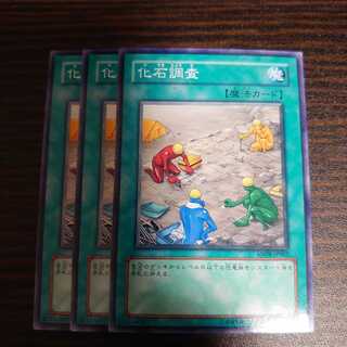 化石調査　ノーマル　3枚セット