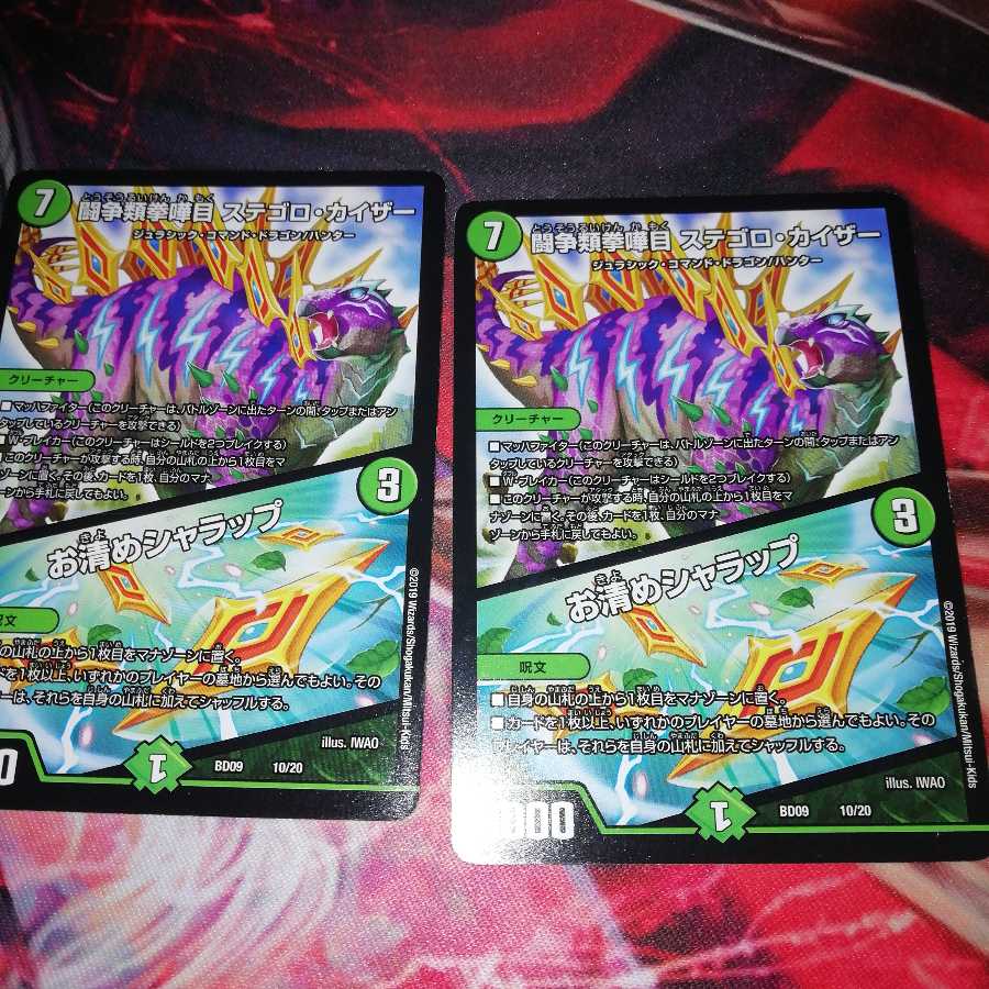 闘争類拳嘩目 ステゴロ・カイザー｜お清めシャラップ