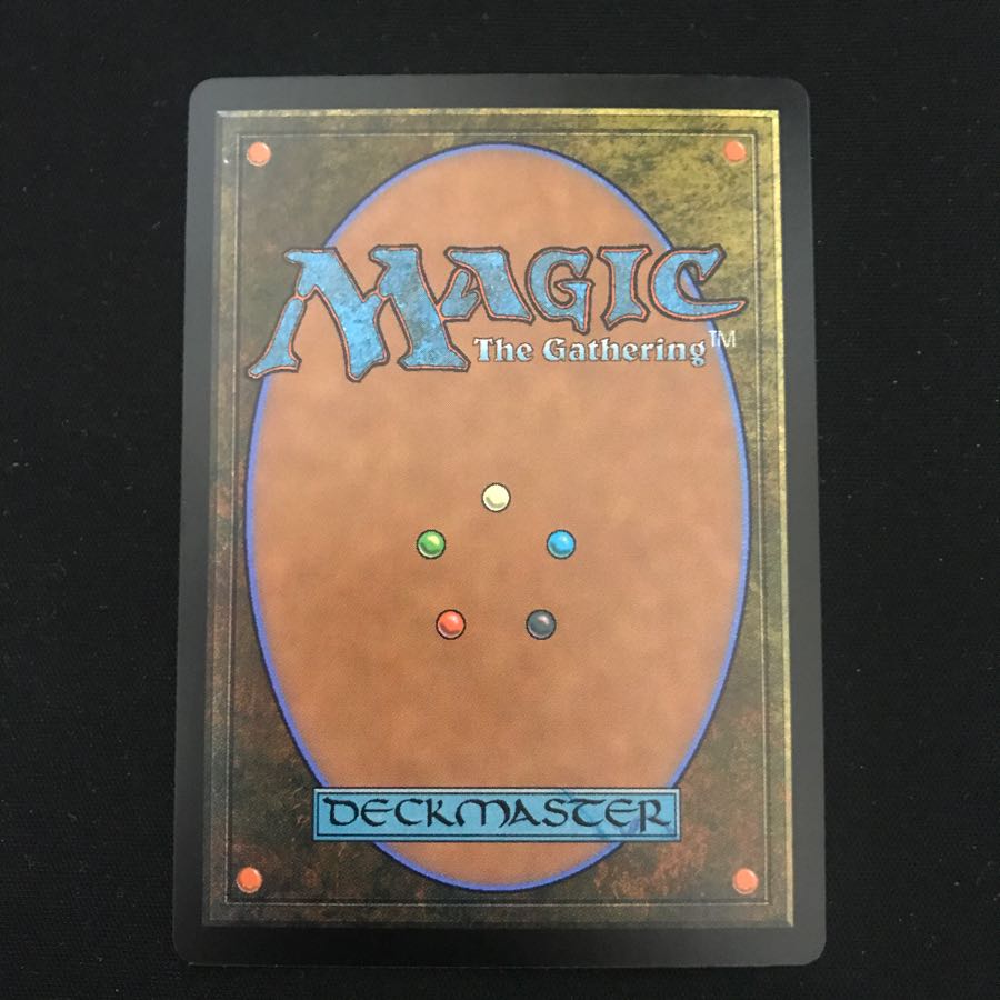 探索する獣 通常版日本語