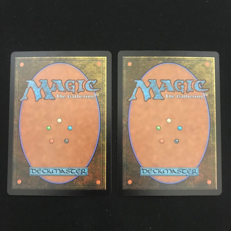 2枚セット 金のガチョウ 通常版日本語