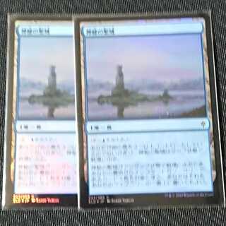 【MTG】神秘の聖域foil 2枚セット