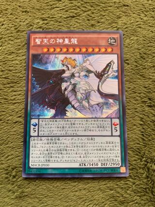 智天の神星龍 シークレットレア