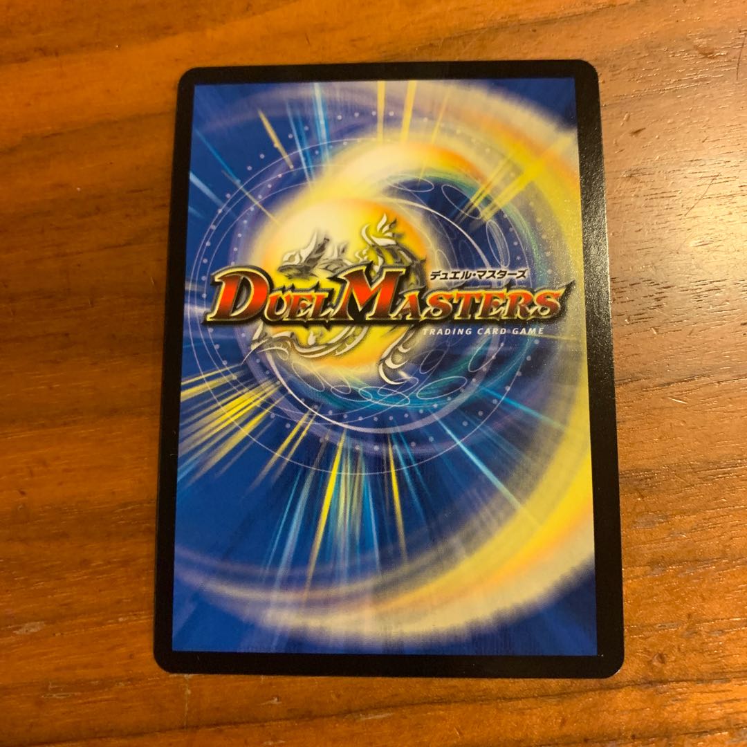 「絶対の盾騎士」アブソリュート・シールドナイト