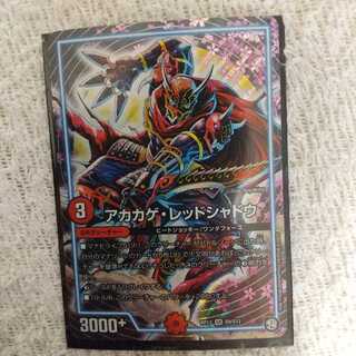 アカカゲ・レッドシャドウ