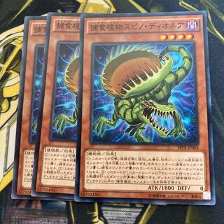 マドレース2910捕食植物スピノ・ディオネア ノーマル