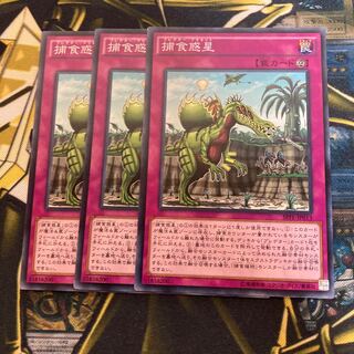 マドレース2911捕食惑星 ノーマル