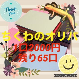 10口購入用 20000円