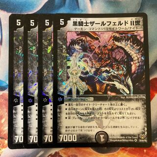 黒騎士ザールフェルドII世