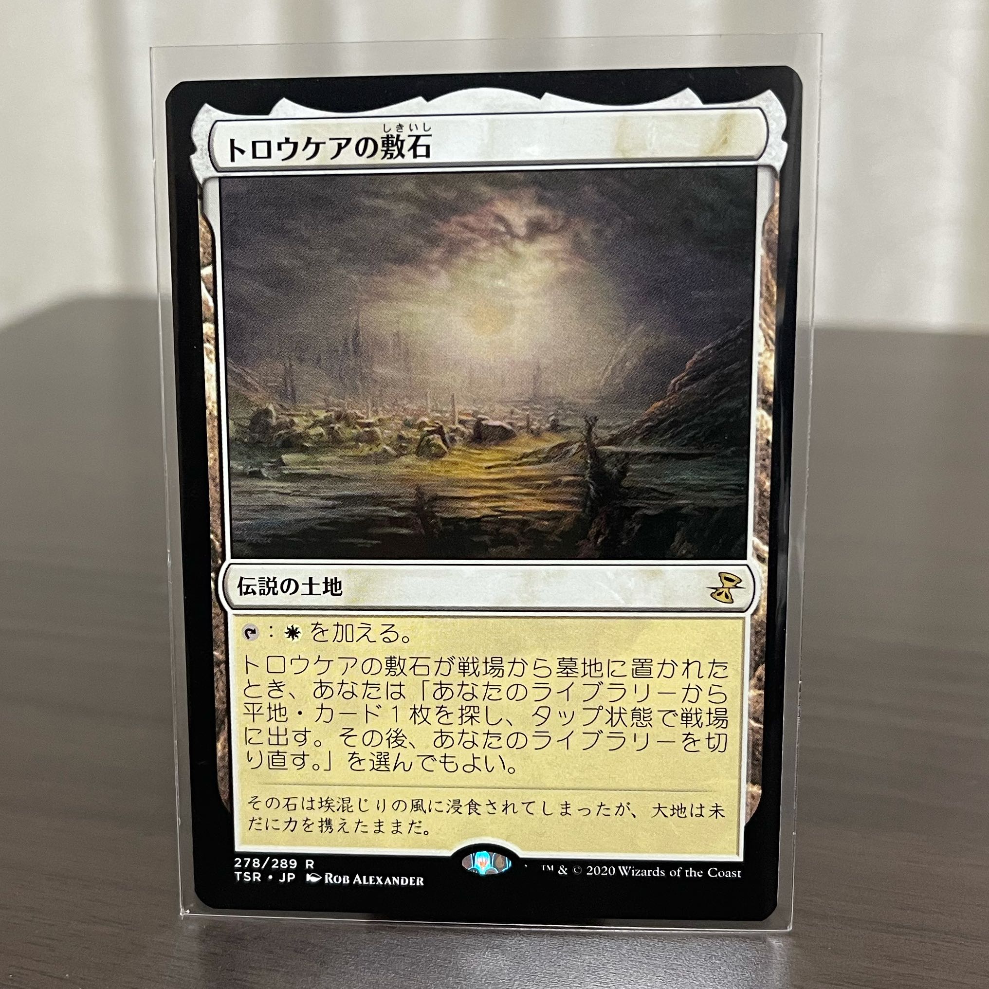 【あやひこ様専用】トロウケアの敷石  ナーセット　2枚