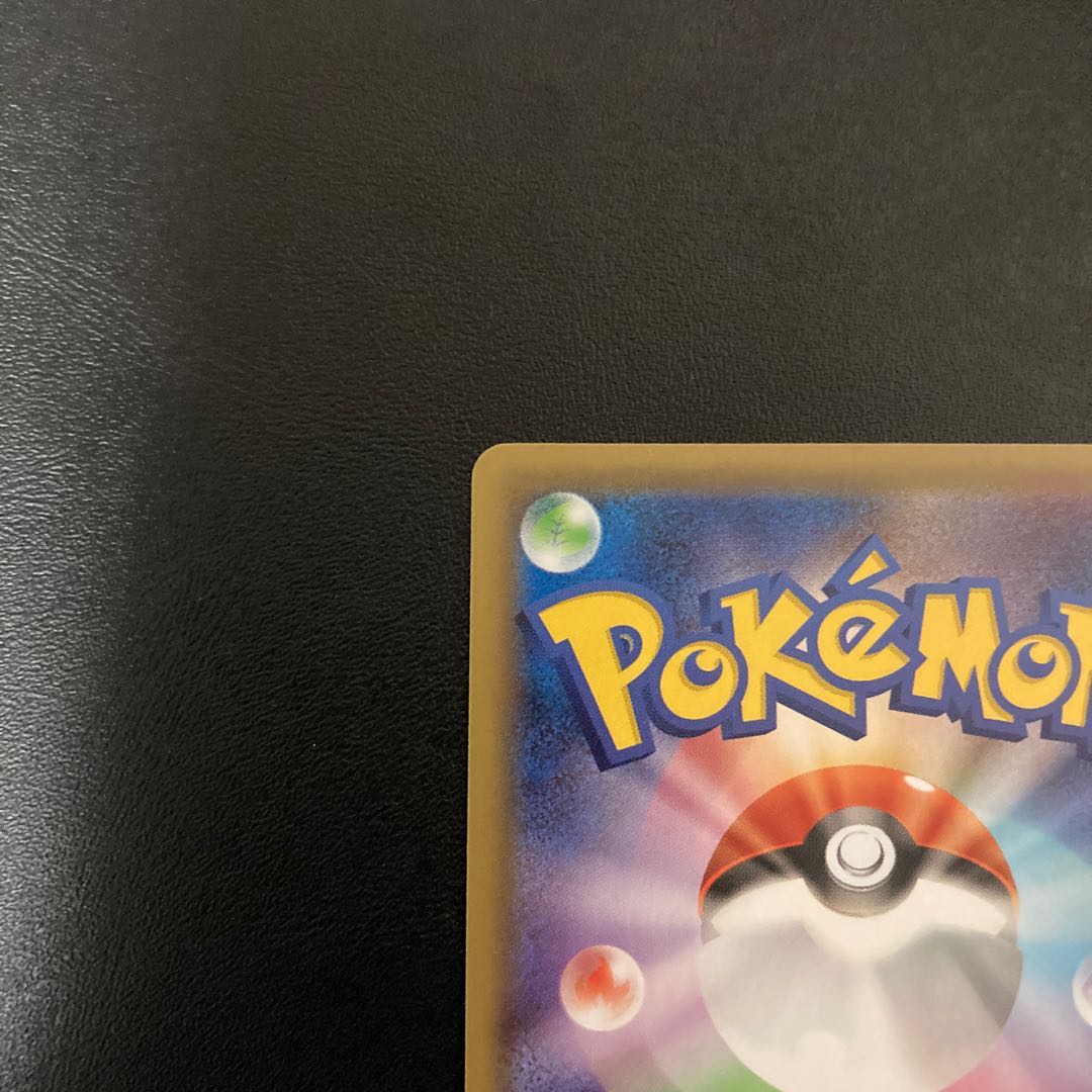 アローラの仲間たち