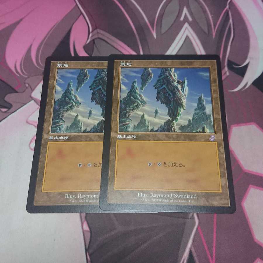 荒地 旧枠 2枚 2枚