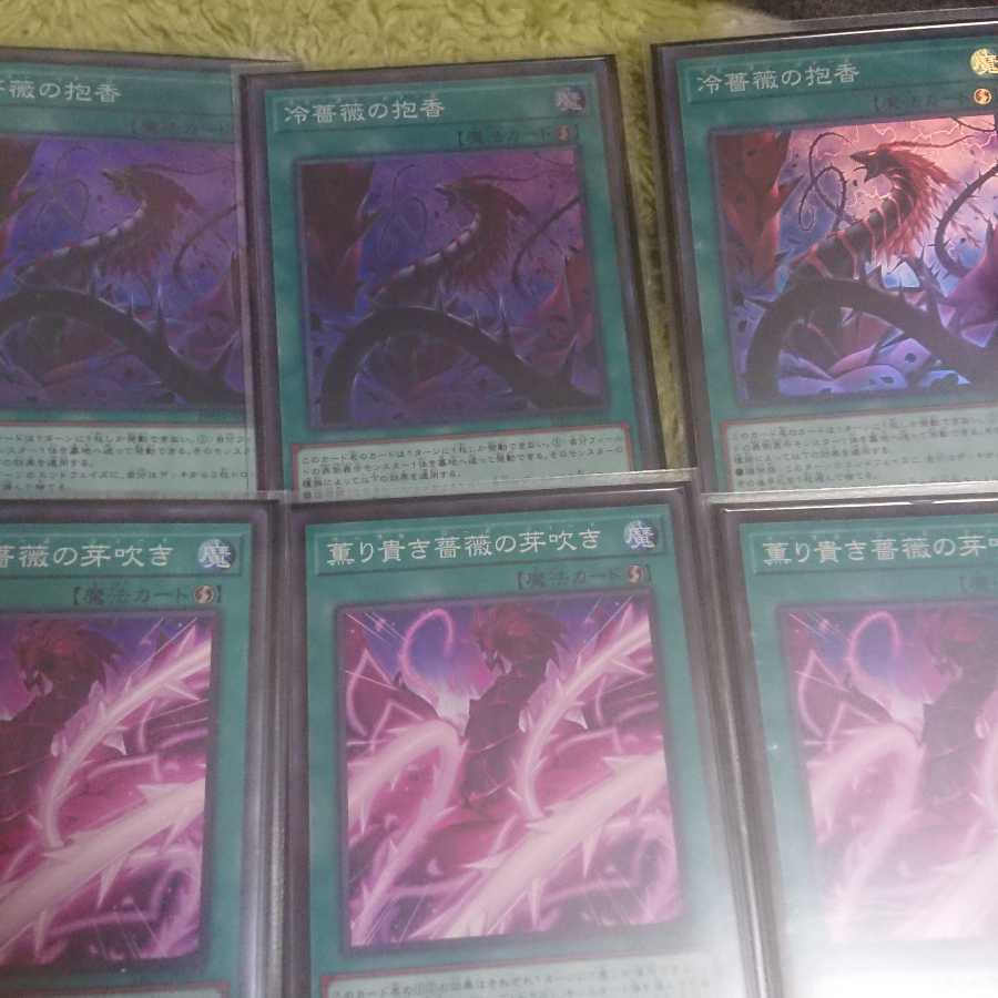 冷薔薇の抱香 スーパーレア