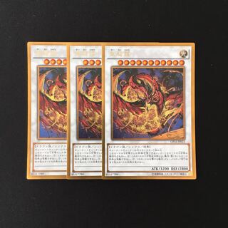 i15 星態龍 ゴールドレア 3枚セット 遊戯王 トレトレ