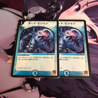 ガード・ビジョン