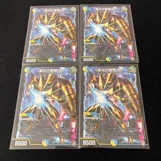 "Holy knight of lightning."