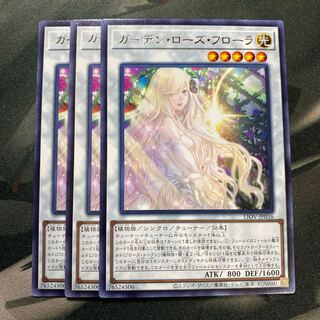 ガーデン・ローズ・フローラ レア