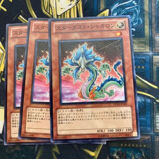 マドレース2931スターダスト・シャオロン ノーマル