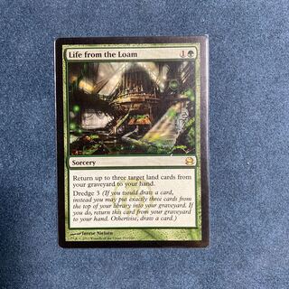 壌土からの生命