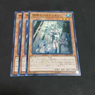 神樹のパラディオン ノーマル 遊戯王 虎ふぐ