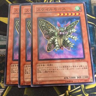 マドレース2976スケイルモース ノーマル