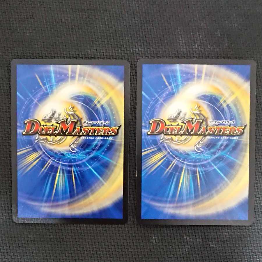 ヘルボロフ 文字シク 2枚セット 2枚の通販 ねぎま（1115944487） | magi