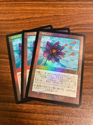 【foil】睡蓮の花　3枚セット
