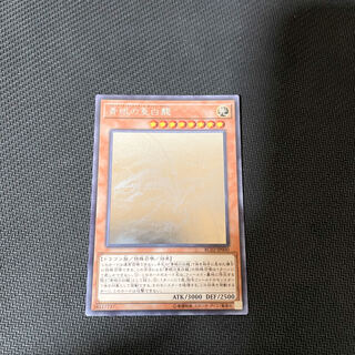 青眼の亜白龍 ホログラフィックレア
