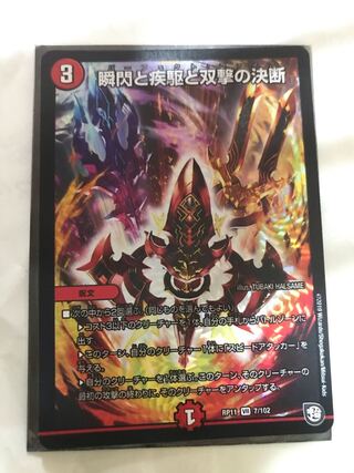 瞬閃と疾駆と双撃の決断