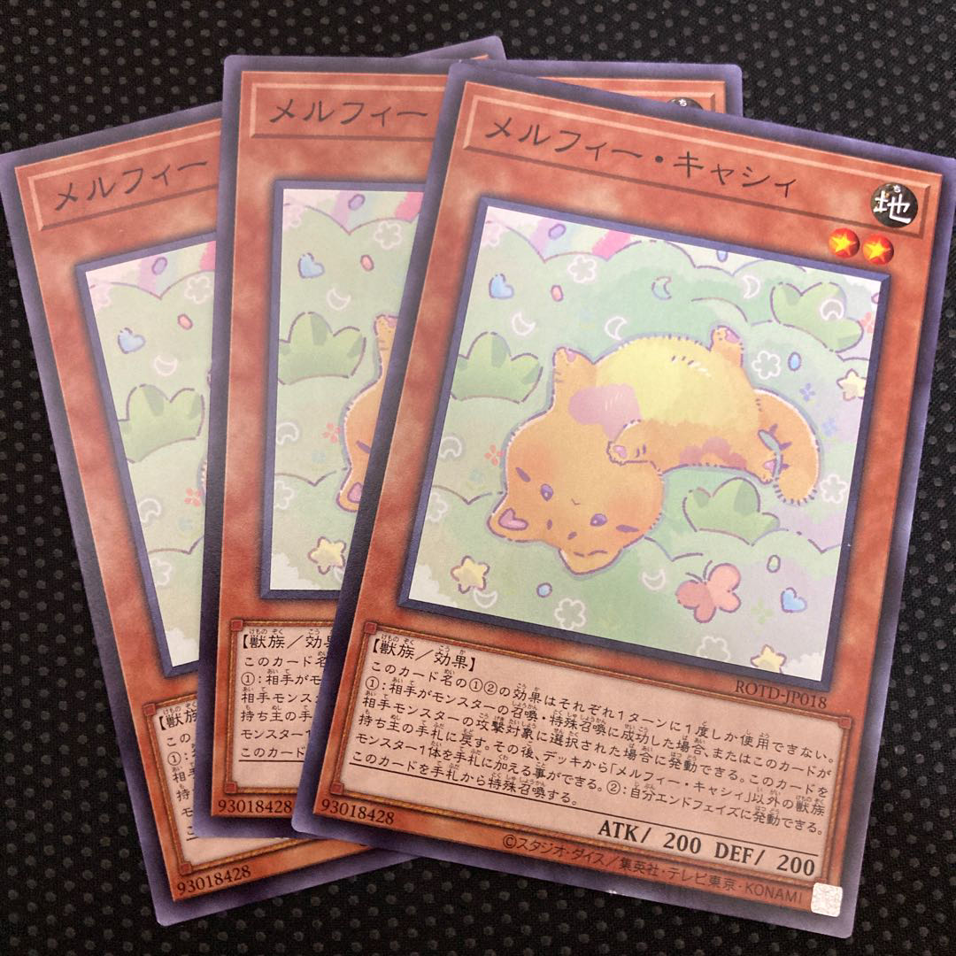 メルフィー・キャシィ