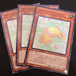 メルフィー・キャシィ