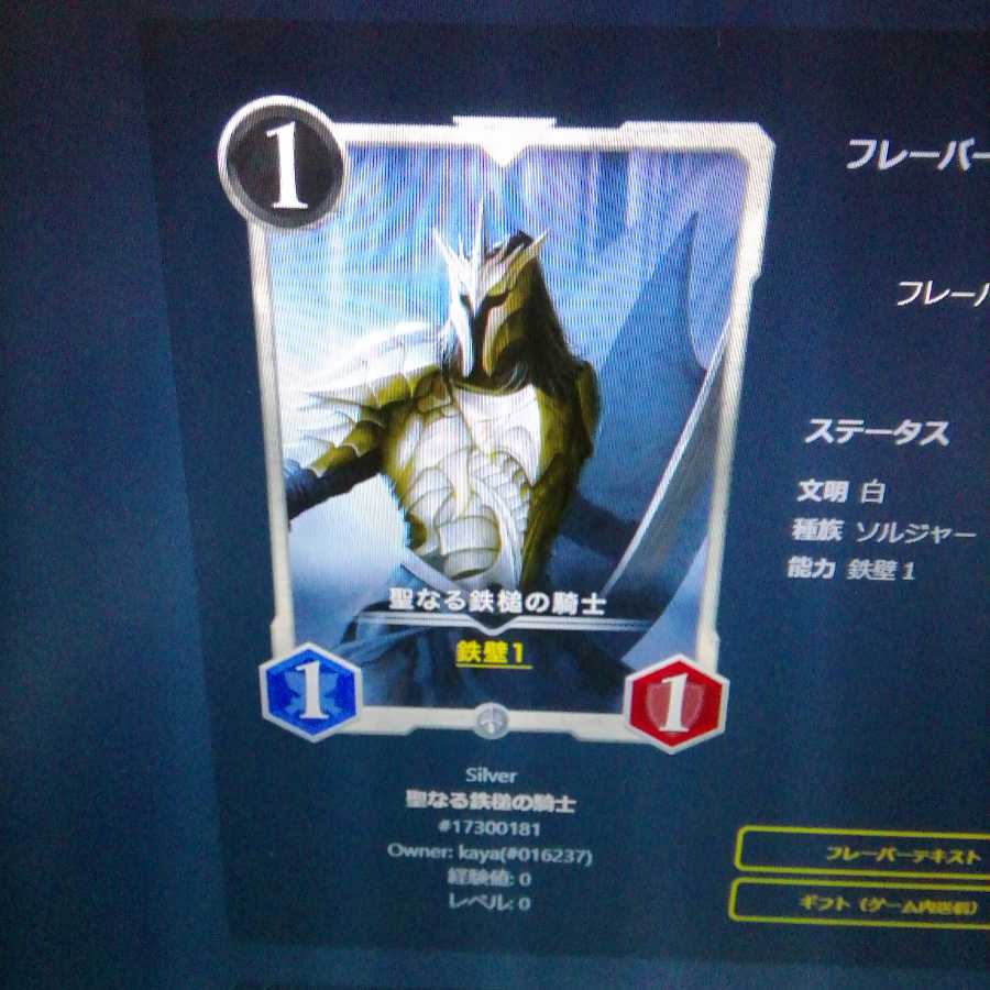 聖なる鉄槌の騎士