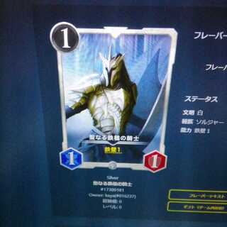 聖なる鉄槌の騎士