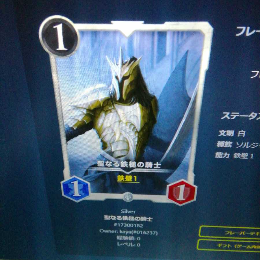 聖なる鉄槌の騎士