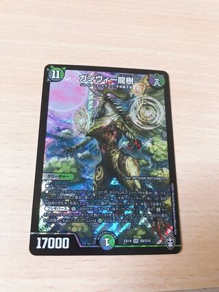 ガンヴィー龍樹