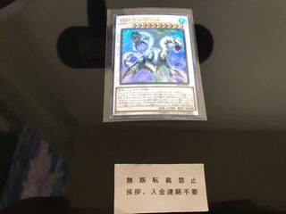 白闘気双頭神龍