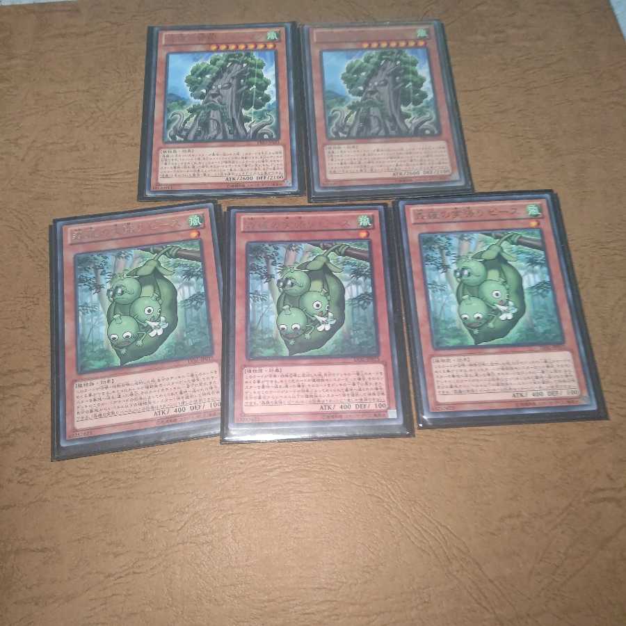 森羅の実張り ピース レア×3 シャーマン×2