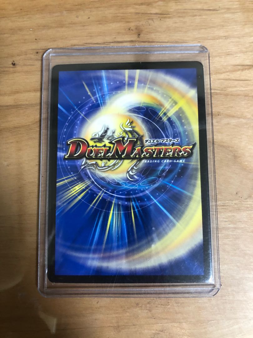 煌龍 サッヴァーク　