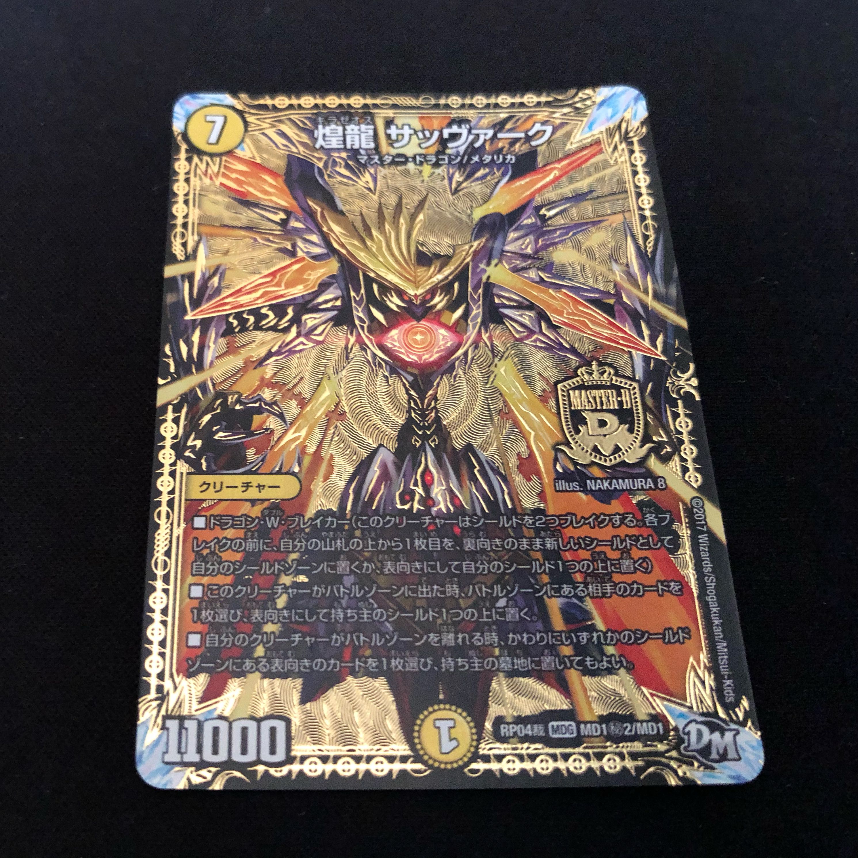 煌龍サッヴァーク