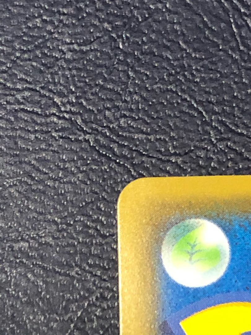 リザードンV 色違い