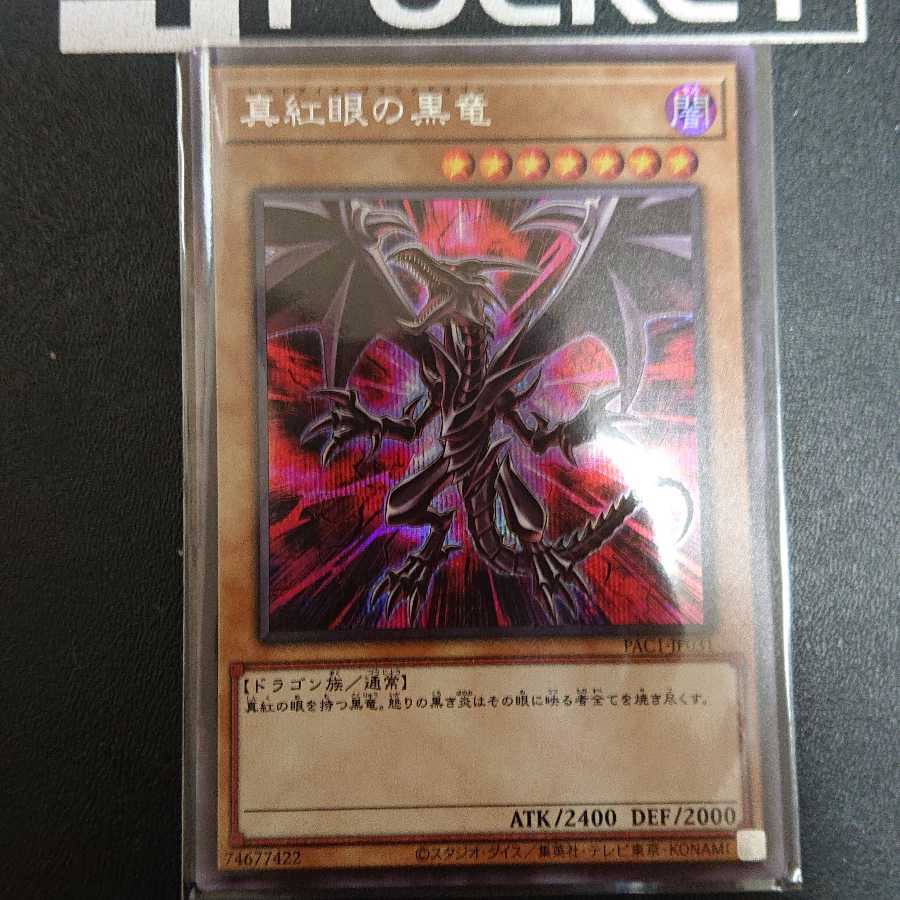 真紅眼の黒竜（イラスト違い版） シークレットレア