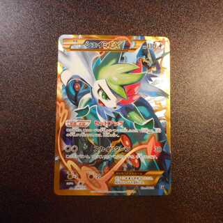 （美品）シェイミEX　188/171　ホイル　