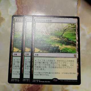 吹きさらしの荒野　３枚