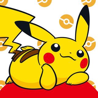 かむかむ様専用