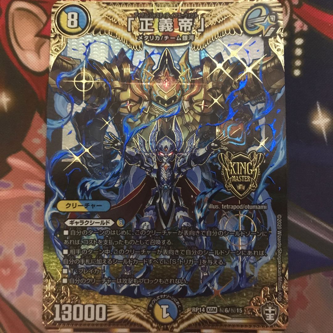 正義帝 シク ※怪盗様専用