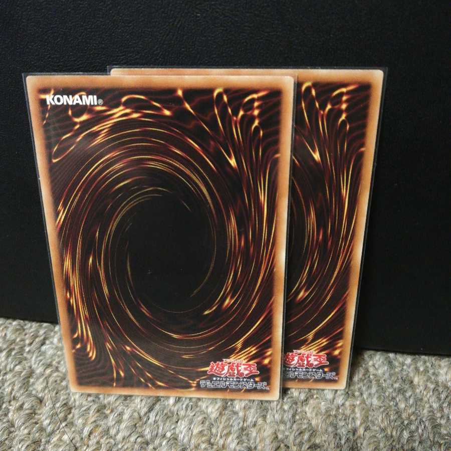 シューティング・ライザー・ドラゴン パラレル ノーマル２枚