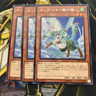 マドレース3030ホップ・イヤー飛行隊 レア