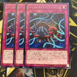 マドレース3073バージェストマ・レアンコイリア ノーマル